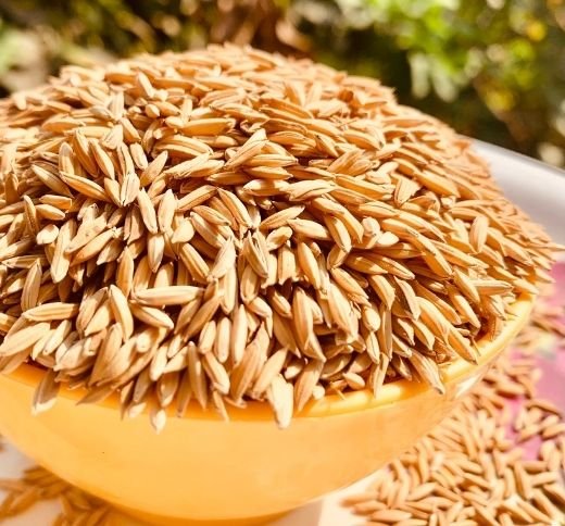 Premium Rice Quality